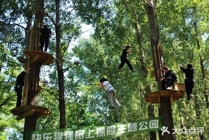 快乐猩猩树上穿越丛林探险林科院