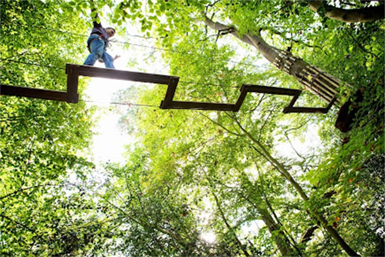 美国特拉华州Go Ape Zipline丛林探险公园