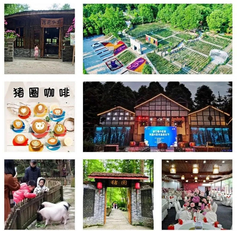 犟攀丛林穿越探险乐园