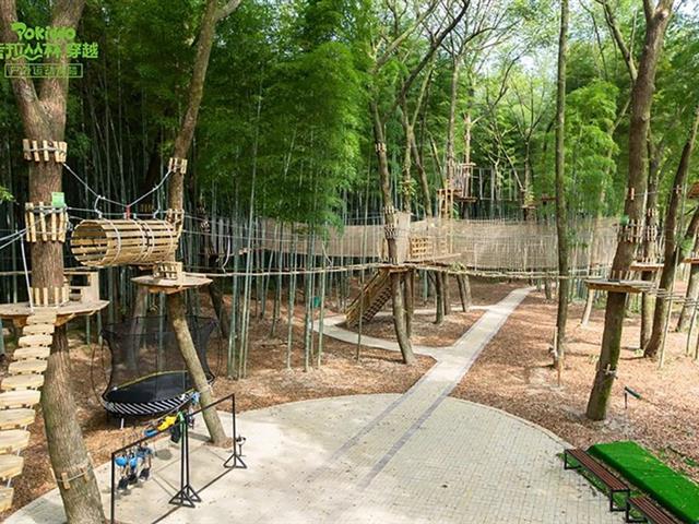 户外绝佳的团建基地-考拉丛林探险乐园